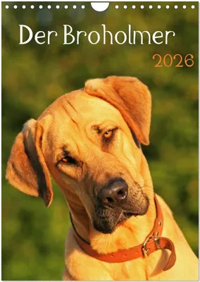 Produktbild von Der Broholmer (Wandkalender 2026 DIN A4 hoch), CALVENDO Monatskalender