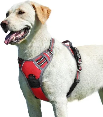 Productafbeelding van Famanu hondentuig voor kleine tot grote honden - antislip, gevoerd tuig - rood - duurzaam materiaal - comfortabel en veilig - verstelbaar