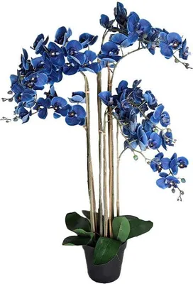 Produktbild von Warentuin Producten