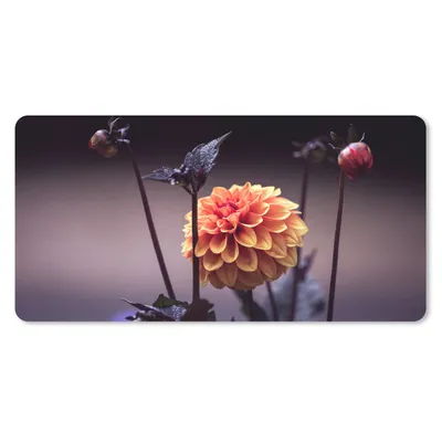 Produktbild von MuchoWow® Schreibtischunterlage Blumen - Chrysantheme - Makro - Pflanzen 80x40 cm - XXL Mauspad - Gaming Mauspad