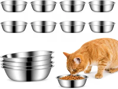 Produktbild von Futternapf-Set 8 Stück, Edelstahl, spülmaschinenfest, unzerbrechlich, für Katzen