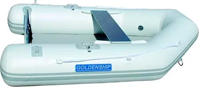 Immagine prodotto di Gommone Goldenship 1,60 m bianco 1 posto bianco 1 posto