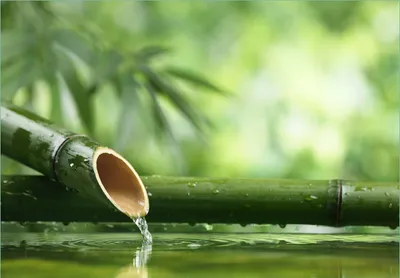 Produktbild von Wallario Fototapete Vliestapete, seidenmatte Oberfläche, einfache Verarbeitung, Größe 300 x 210 cm, Motiv Bambusquelle  Bambusrohr mit Wasser