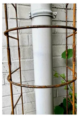 Produktbild von Steckzaun Rankgitter aus Metall für Fallrohr, Höhe: 193 cm, Breite: 30 cm