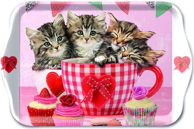 Produktbild von Tray Melamine – Tablett – 13 x 21 cm - Cats in Tea Cups – Kätzchen in
