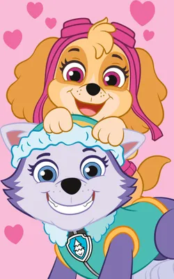 Paw Patrol Fleecedecke Canina – Kuschelweich & Farbenfroh | Größe 27x12x9 Cm