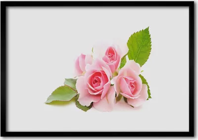 Produktbild von Bild 100x70 MDF-Rahmen Wandkunst Rosen Blumen Natur Pflanze