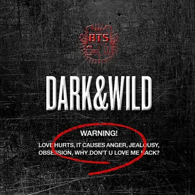 Produktbild von BTS - Vol.1 (Dark & Wild) (Limited Edition) (CD)