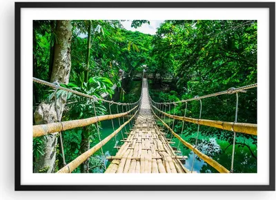 Produktbild von Gerahmtes Poster - Schwarzer Rahmen - Gehweg Baum Holz Steg - 70x50 cm - Wand Bild - Wanddeko - Wandbilder - Kunstposter - Wandposter - Bilderrahmen - Bilder - Kunstdruck - Wandbild - P2BAA70x50-3185