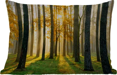 Produktbild von MuchoWow® Outdoor Kissen - Wald - Sonne - Bäume - Gras - Landschaft - Natur - 50x30 cm - Wetterfest - Lounge Kissen - Sofa kissen - Wohnzimmer Dekoration