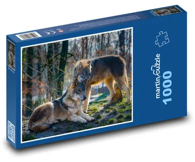 Obrázek produktu pro Puzzle 1000 Vlci v lese - martinpuzzle