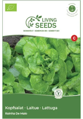 Produktbild von Kopfsalat Maikönigin 4.1g Saatgut von Living Seeds