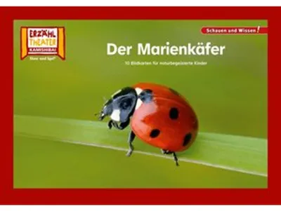 Produktbild von Der Marienkäfer / Kamishibai Bildkarten