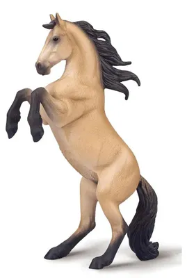 Obrázek produktu pro Klisna plemene Buckskin Warlander