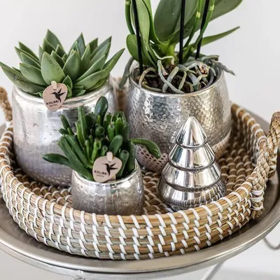 Produktbild von Blumentopf Elite Silber Ø9cm Glänzender Keramik Übertopf Pflanztopf Pflanzgefäß