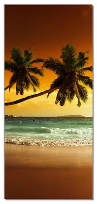 Produktbild von Wallario selbstklebende Türtapete 93 x 205 cm - Palmen am Sandstrand bei untergehender Sonne - Abwischbar, rückstandsfrei zu entfernen