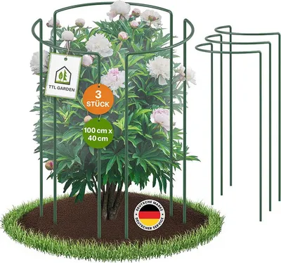 Produktbild von TTL GARDEN Strauchstützen 100×40 cm 3er Set – Pflanzenstütze grün aus Stahl