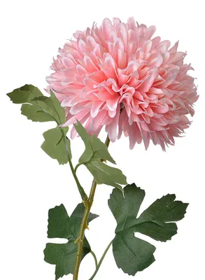 Image de Clayre & Eef fleur artificielle 54 cm rose plastique
