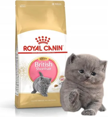 Obrázok produktu pre Royal Canin British Shorthair Kitten, Dospelý, Hydina, 400 g