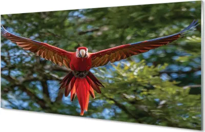 Produktbild von Glasbilder 120x60 Wandkunst Ara Papagei