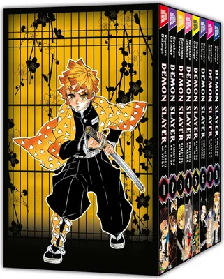 A box set of Demon Slayer manga volumes with a character illustration on the front.
