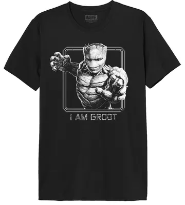 Zdjęcie produktu dla Koszulka damska Marvel MEGUGAMTS160