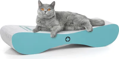 Produktbild von Drapak Satellite 2.0 | Katzenkratzbaum LOVE | Canadian Cat | Türkis