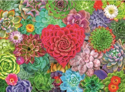 Image de Ravensburger Sukkulente Liebe Puzzle 500 pièces One Size