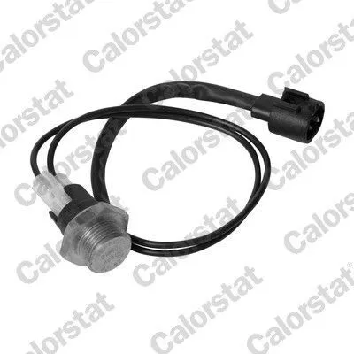 Produktbild von CALORSTAT by Vernet TS1960 Temperaturschalter Kühlerlüfter Thermoschalter für RENAULT TWINGO I (C06) KANGOO (KC0/1) CLIO I (B/C57, 5/357) LAGUNA I