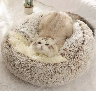 Image de Lit douillet pour chats et chiens en peluche moelleuse, avec housse isolante, effet antidérapant, lavable en machine
