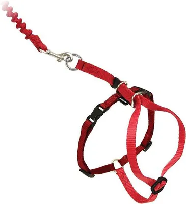 Image de Harnais pour chat Ibenzoa® rouge, taille S – Harnais réglable avec une laisse élastique pour des promenades sûres et confortables