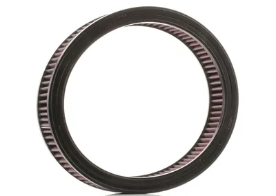 Image de K&N Filters Filtre à air E-1210