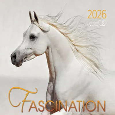 Produktbild von Gabriele Boiselle Kalender Fascination Arabische Pferde 2026, 62 x 58 cm