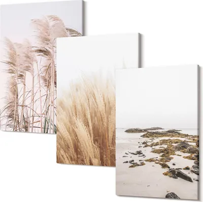 Produktbild von Leinwandbilder – Wandbilder – Leinwandbild – Canvas Bild – Polycanvas – Kunstdruck –  – Modern – Aufhängefertig – Mehrteilig – 3-Teilig – 40x60 Cm Pro Bild - Pampasgrasfelder und ein Boho-Strand