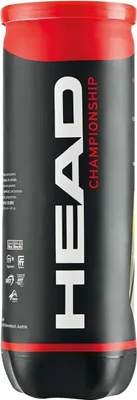 Image de Head Error de datos 575203 in Black color size Talla unica