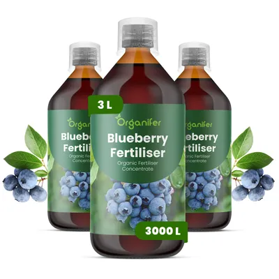 Obrázek produktu pro Čučoriedka Tekuté Hnojivo 3x1 L – 2-1-8 NPK – Pro Bobulové Kríky – Pro Zdravé Kríky & Bohaté Plody – Podporuje Kořeny & Vitalitu – Organifer