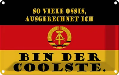 Produktbild von vianmo Blechschild 20x30 cm so viele Ossis bin der coolste Dekoration Spruch Zitat