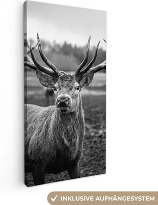 Produktbild von MuchoWow® - Leinwandbilder - Tiere - Hirsch - Geweih - Schwarz und weiß - Natur, Wandbild, Wanddeko Bilder Wohnzimmer, 40x80 cm