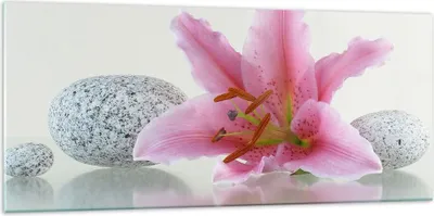 Produktbild von Bilder auf glas - Lilienblüte grün Pflanze - 120x50cm - Glasbilder - Wandbilder - Kunstdruck - zum Aufhängen bereit - Wanddekoration aus Glas - Glas Bilder - Wandbild auf Glas - GAB120x50-0485