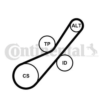 Produktbild von Continental ContiTech 6PK800K1 Keilrippenriemensatz für FORD Fiesta Mk6 Schrägheck (JA8, JR8) FOCUS III Turnier Fiesta Mk5 Schrägheck Focus II Kombi