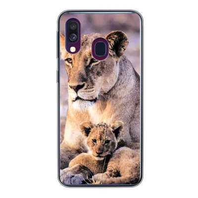 Produktbild von MuchoWow® Handyhülle Schutzhülle Hülle für Samsung Galaxy A40 Löwin - Löwe - Junges Silikon Softcase Handy Hülle - Handy-Tasche