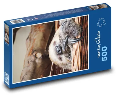 Obrázek produktu pro martinpuzzle - Puzzle 500 - Spící lenochod