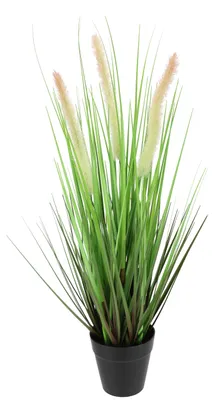 Kunstpflanze Fuchsschwanzgras im Topf, Grün, 52 cm
