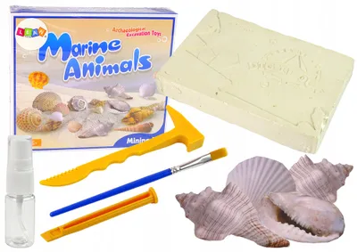 Zdjęcie produktu dla Zestaw archeologiczny zwierzęta morskie