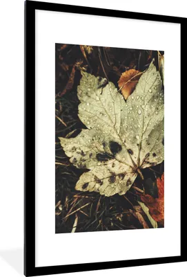 Produktbild von MuchoWow® Gerahmtes Poster Herbstblätter - Herbst - Jahreszeiten - Natur 60x90 cm - Poster mit Schwarzem Bilderrahmen Wandposter Rahmen Foto Bilder - Dekoration - Wandposter Wohnzimmer - Hochwertig