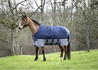 Produktbild von EQUITHÈME TYREX 600 D Belly Belt Decke, Outdoordecke 0 g, Farbe:marineblau/grau, Größe:Rückenlänge 155 cm  Polyfil 0 g