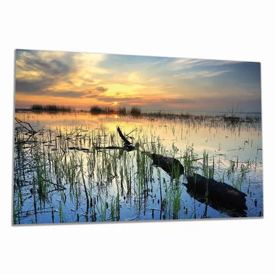 Produktbild von Wallario Herdabdeckplatte aus Glas, Größe 90 x 52 cm 1-teilig, Motiv Schilf am Abend - Sonnenuntergang über der Seelandschaft