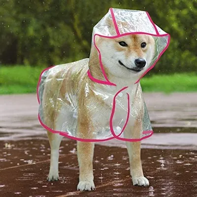 Produktbild von Hunderegenmantel, wasserdicht, winddicht, mit Kapuze, geeignet für kleine und mittlere Hunde, rosarot,L