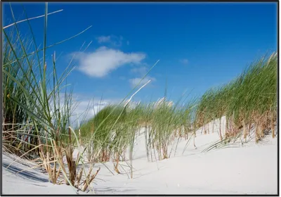 Produktbild von Wallario Wandbild Düne am Strand unter blauem Himmel, Größe: 70,30 x 100,30 cm, Poster mit schwarzem Aluminiumrahmen
