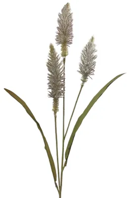 Produktbild von Künstliches Lampenputzergras ca. 85cm. Pennisetum-Zweig